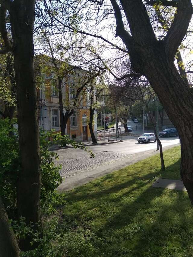 Хостелы Ginger House Пловдив-30